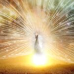 【風水】枕元に窓と窓に足を向けて寝るのはよいのか?