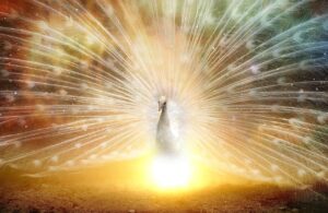 【風水】枕元に窓と窓に足を向けて寝るのはよいのか?